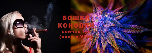 PSILOCYBIN Балахна