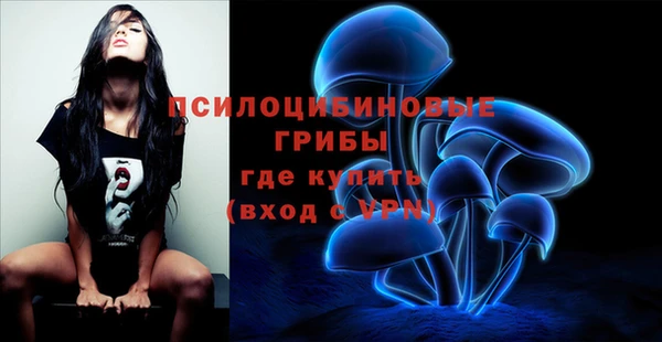 PSILOCYBIN Балахна