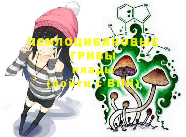 PSILOCYBIN Балахна